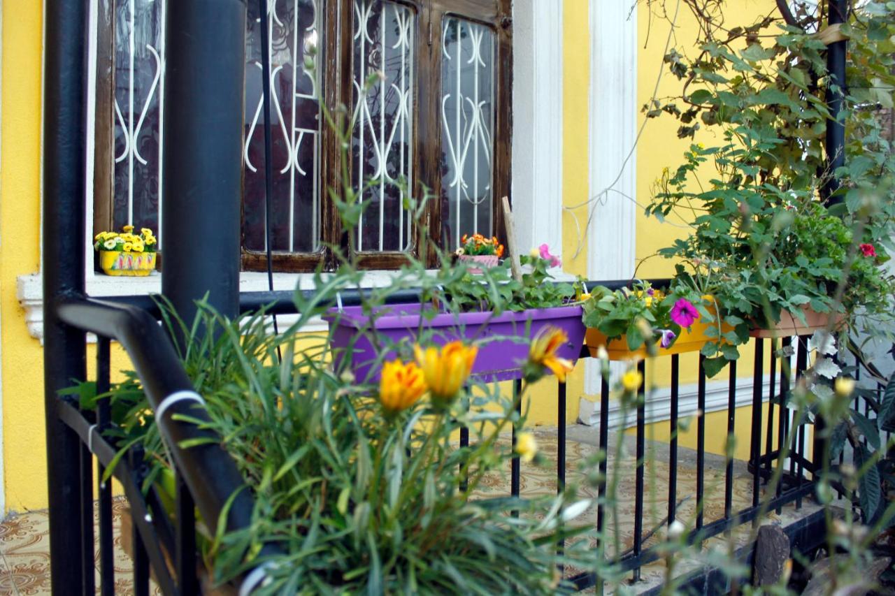 טביליסי Colors Hostel מראה חיצוני תמונה
