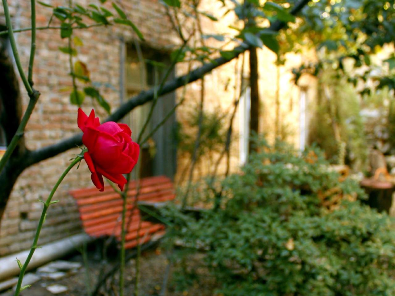 טביליסי Colors Hostel מראה חיצוני תמונה